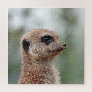 Meerkat 180 puzzle