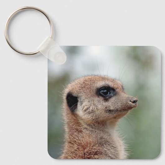 Meerkat 180 schlüsselanhänger (Vorderseite)
