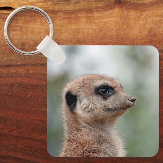 Meerkat 180 schlüsselanhänger (Vorderseite)