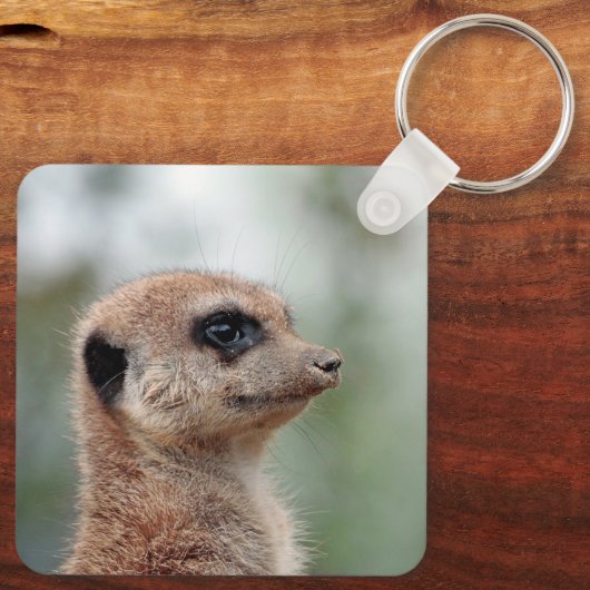 Meerkat 180 schlüsselanhänger (Rückseite)