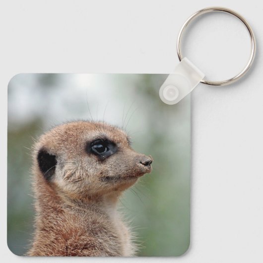 Meerkat 180 schlüsselanhänger (Rückseite)