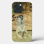 Meerkat #1 iPhone 13 Pro Fall Case-Mate iPhone Hülle (Rückseite)