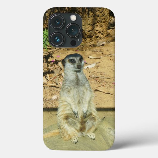 Meerkat #1 iPhone 13 Pro Fall Case-Mate iPhone Hülle (Rückseite)