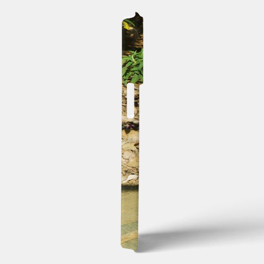 Meerkat #1 iPhone 13 Pro Fall Case-Mate iPhone Hülle (Rückseite / Rechts)