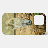 Meerkat #1 iPhone 13 Pro Fall Case-Mate iPhone Hülle (Rückseite (Horizontal))
