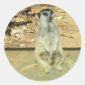 Meerkat #1 Stickers (Vorderseite)