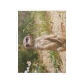 Meerkat 2014-0901 notizblock (Rotiert)
