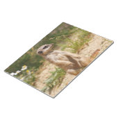 Meerkat 2014-0901 notizblock (angewinkelt)