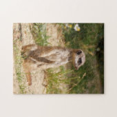 Meerkat 2014-0901 puzzle (Horizontal)