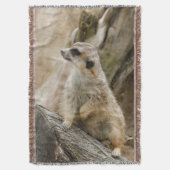 Meerkat 2014-1001 decke (Vorderseite Vertikal)