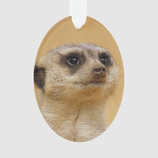 Meerkat 2014-1101 ornament (Vorderseite)