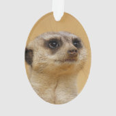 Meerkat 2014-1101 ornament (Rückseite)