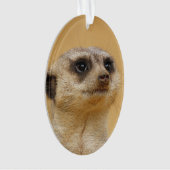 Meerkat 2014-1101 ornament (Vorderseite)