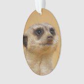 Meerkat 2014-1101 ornament (Vorderseite)