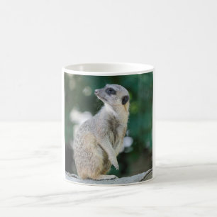 Meerkat_2015_0103 Kaffeetasse