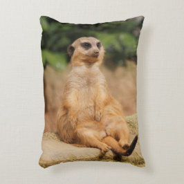 Meerkat_2015_0110 Zierkissen