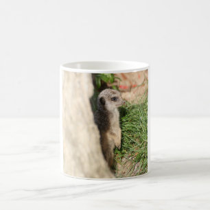 Meerkat_2015_0201 Verwandlungstasse