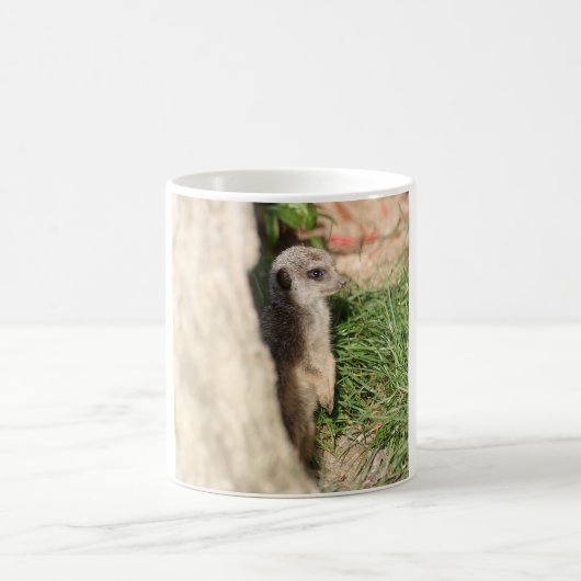 Meerkat_2015_0201 Verwandlungstasse (Mittel)