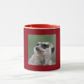Meerkat_2015_0210 Tasse (Zentrum)