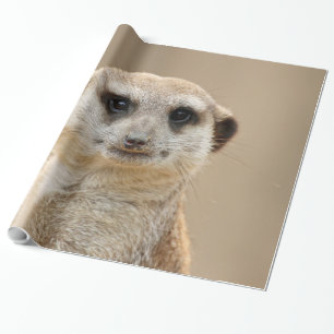 Meerkat_2015_0211 Geschenkpapier