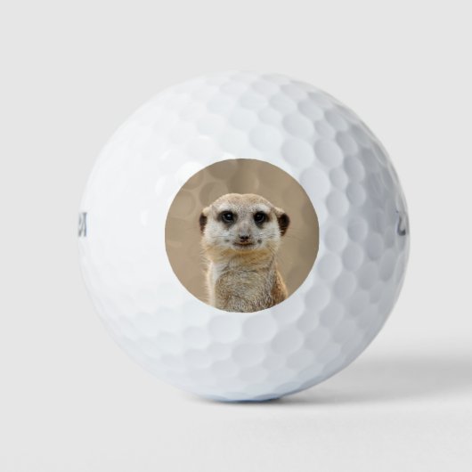 Meerkat_2015_0211 Golfball (Vorderseite)