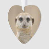 Meerkat_2015_0211 Ornament (Vorderseite)