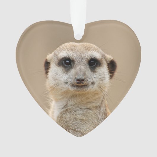 Meerkat_2015_0211 Ornament (Vorderseite)