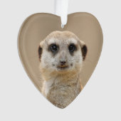 Meerkat_2015_0211 Ornament (Vorderseite)