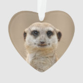 Meerkat_2015_0211 Ornament (Rückseite)