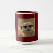Meerkat_2015_0212 Tasse (Zentrum)