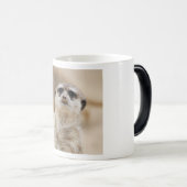 Meerkat_2015_0216 Verwandlungstasse (VorderseiteRechts)