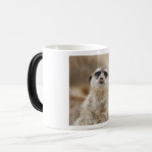 Meerkat_2015_0216 Verwandlungstasse (Vorderseite Links)
