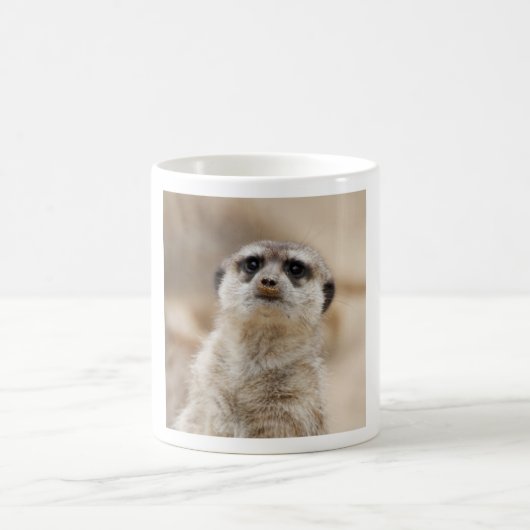 Meerkat_2015_0216 Verwandlungstasse (Mittel)