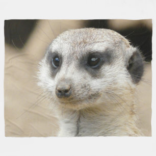 Meerkat_2015_0405 Fleecedecke