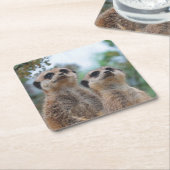 Meerkat_2015_0409 Rechteckiger Pappuntersetzer (angewinkelt)