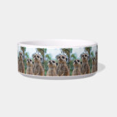 Meerkat_2015_0410 Napf (Rechts)