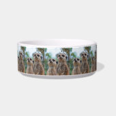 Meerkat_2015_0410 Napf (Vorderseite)