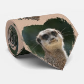 Meerkat_2015_0701 Krawatte (Gerollt)