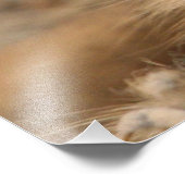 Meerkat_20170901_by_JAMFoto Fotodruck (Ecke)