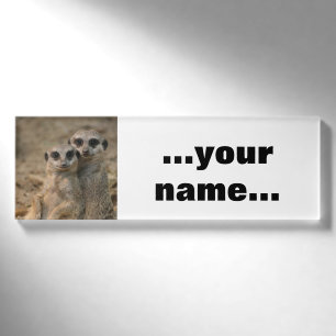 Meerkat_20170901_by_JAMFoto Namenschild