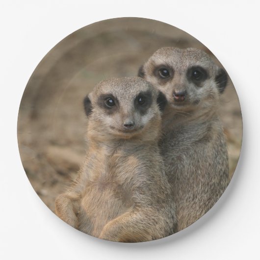 Meerkat_20170901_by_JAMFoto Pappteller (Vorderseite)