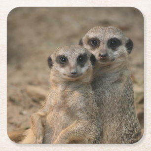 Meerkat_20170901_by_JAMFoto Rechteckiger Pappuntersetzer