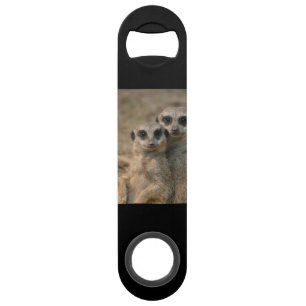 Meerkat_20170901_by_JAMFoto Speed Flaschenöffner