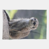 Meerkat_20171101_by_JAMFoto Geschirrtuch (Horizontal)