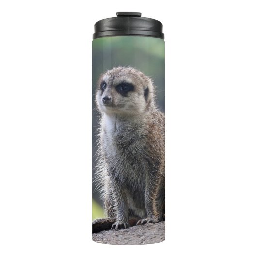 Meerkat_20171101_by_JAMFoto Thermosbecher (Vorderseite)