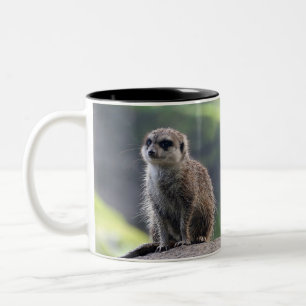 Meerkat_20171101_by_JAMFoto Zweifarbige Tasse