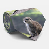 Meerkat_20180701_by_JAMFoto Krawatte (Gerollt)