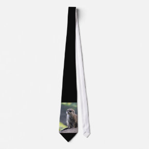 Meerkat_20180701_by_JAMFoto Krawatte