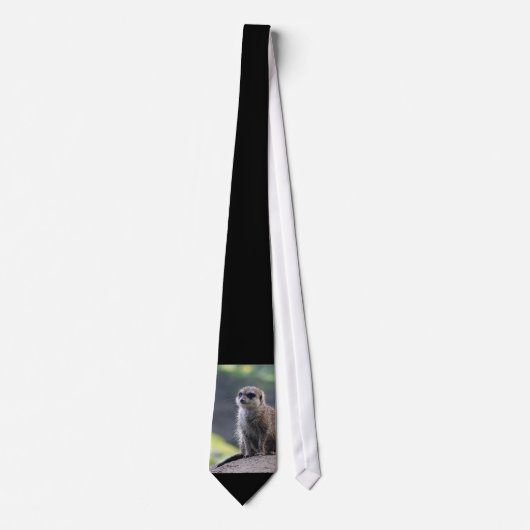 Meerkat_20180701_by_JAMFoto Krawatte (Vorderseite)