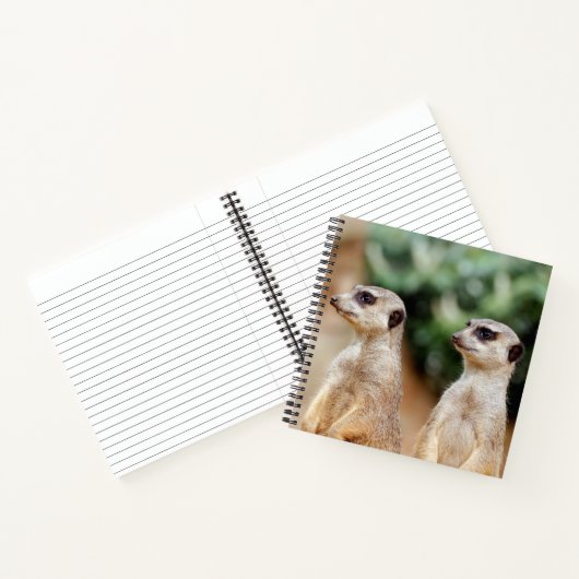 Meerkat 30 notizblock (Innenseite)